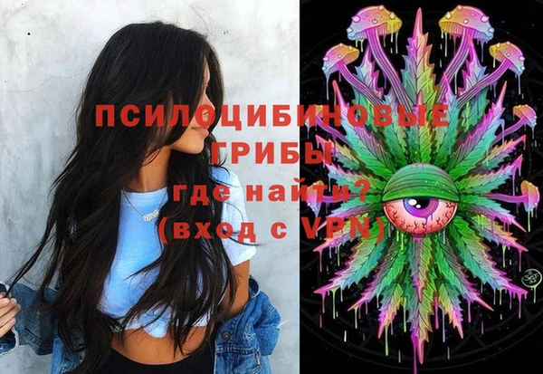 ECSTASY Алексин