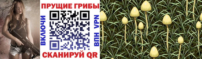 Псилоцибиновые грибы мухоморы Дзержинск